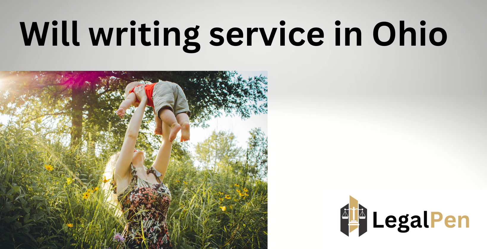 Will writing service in OH