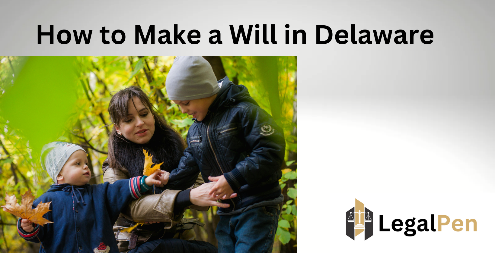 How to Write a Will in DE