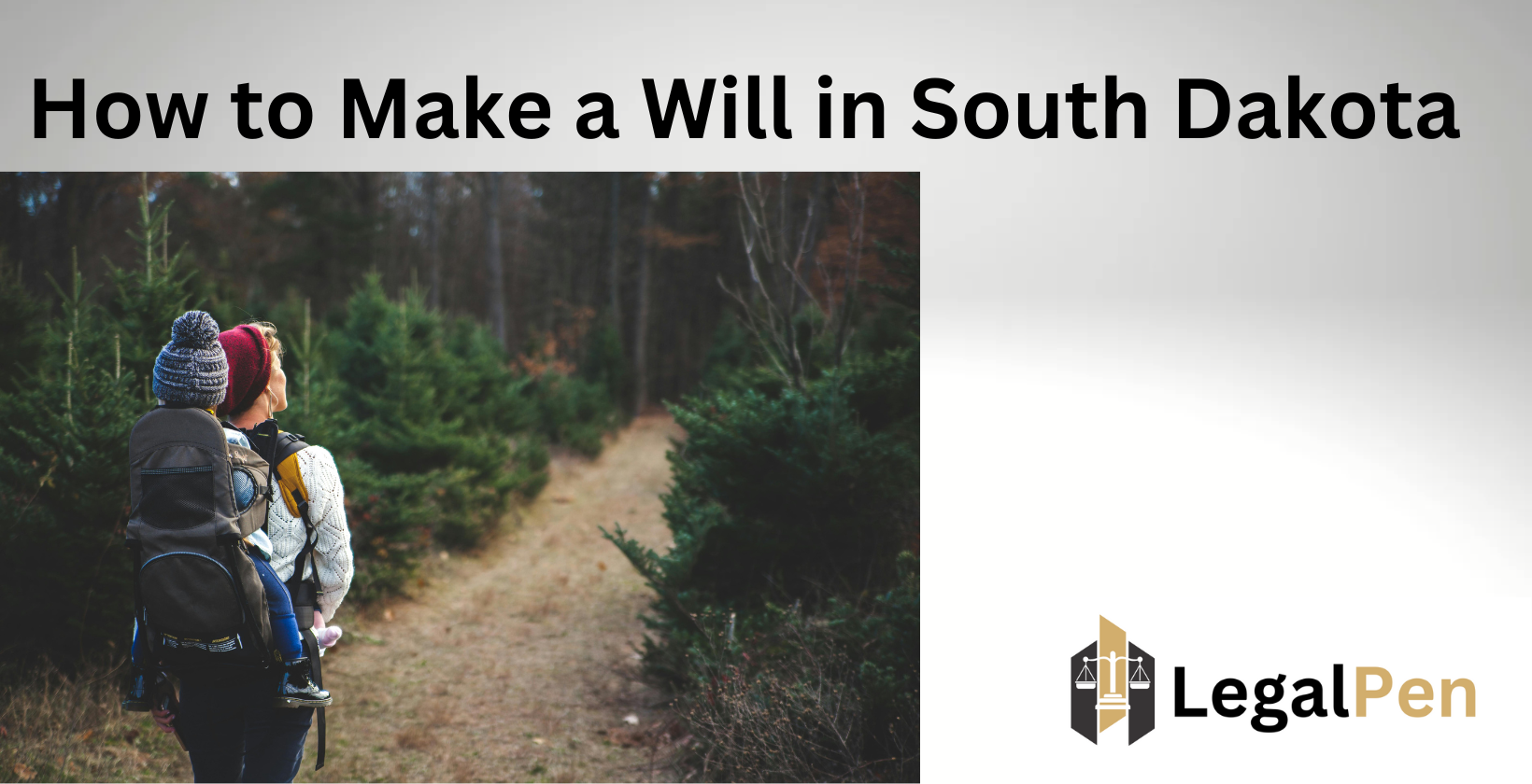 How to Write a Will in SD